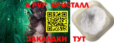 мяу мяу мука Нальчик