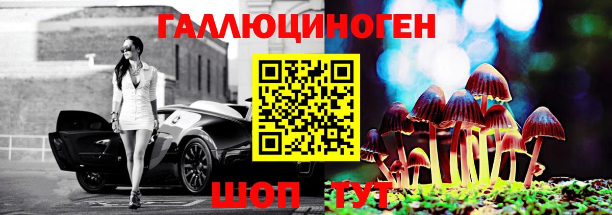 Галлюциногенные грибы Psilocybe Обнинск